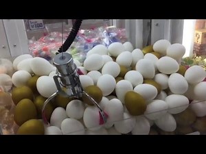 UFOキャッチャー 金と白のたまごといろいろ