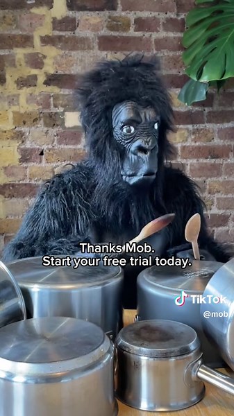 Start Your Free Trial with Mob Today