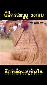 1M views · 12K reactions | พิธีกรรมวูดู #reaction #คลิปผี #scary #horrormovies | Mister Bird | Facebook