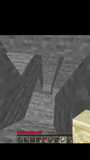 I told you 😭 #minecraft