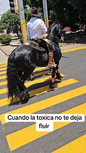 78K views · 416 reactions | Cuando me voy a las cabalgatas sin permiso @fans destacados | Hunter Vlogs | Facebook