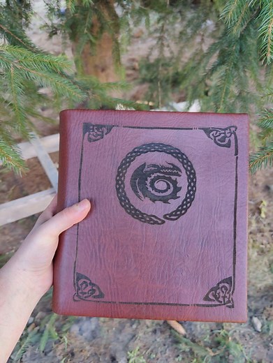 Dragon Book Httyd How to Train Your Dragon - Etsy