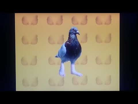 Elmo's World Quiz Episode 41: Feet