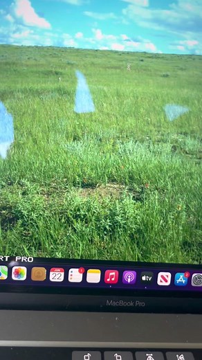 Burrowing Owl Cam: Watch Live Footage from a Trail Camera