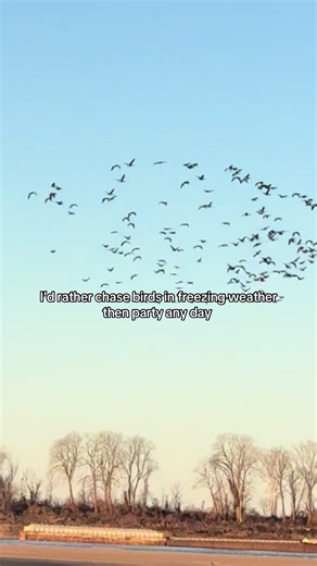 Waterfowl Hunting in Winter Weather