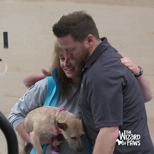 There's no animal he can't help! Spread the gift of cheer this holiday season by sharing & streaming The Wizard of Paws, available on the free BYUtv app. | The Wizard of Paws