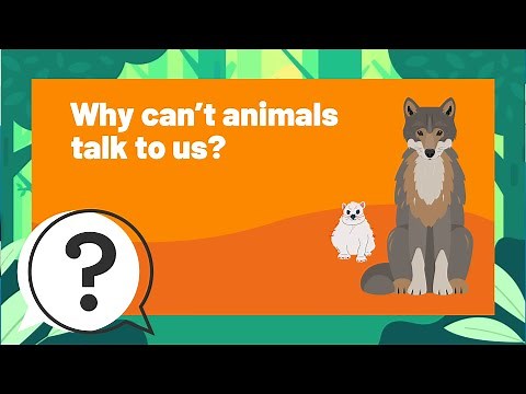 But Why Kids | Why can't animals talk to us? | Full Podcast Episode