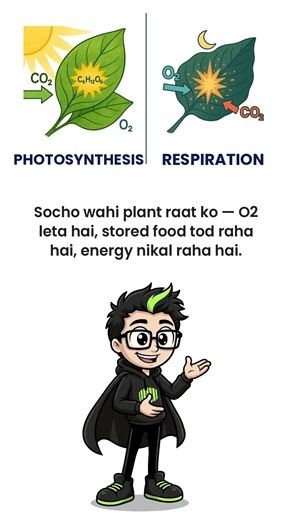 Photosynthesis vs Respiration | Difference Explained | Class 6–10 Science