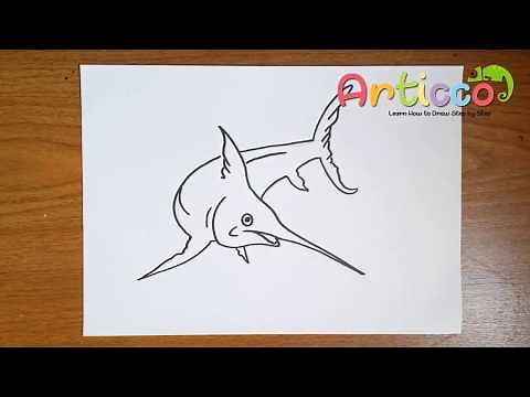 How to Draw Marlin Step by Step Easy