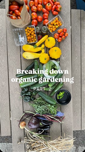 Breaking down organic gardening: Part 2 – Soil health 凌華 Healthy...