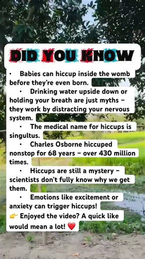 The Strange Mystery of Hiccups!