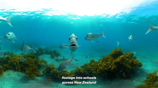 Ep 18 - 60 Second Scientist | Blake NZ 🌊 👉 James Gibson, CEO of BLAKE, shares how they are continuing the legacy of Sir Peter Blake—the iconic Kiwi America's Cup sailor and environmentalist. Sir Peter’s mission? To inspire people to reconnect with the environment through adventure, participation, education, and enjoyment. Discover how Blake’s programmes equip young people with the confidence, knowledge, and real-world experience to become environmental leaders in their communities—and inspire 