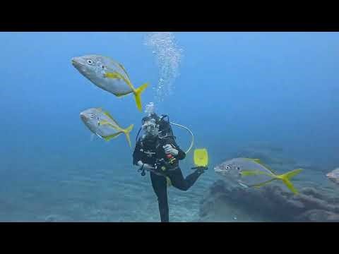Punta Barbero Scuba Diving Tenerife/Gopro