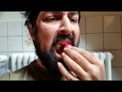 Les premiers commentaires de Bibo Punk en mars 2026