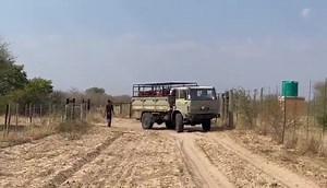 515K views · 4.3K reactions | Another truck load of cows heads in our farm gate it Botswana ! These ladies are all hopefully pregnant and will add to our exsisting breeding herd there. | Cows for Cambodia | Facebook