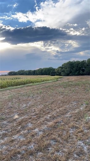 If you’re looking for a dependable deer blind that keeps you comfortable, concealed, and steady in any weather, we’ve got exactly what you need this season. #DeerBlind #HuntingBlind #HuntingSeason #DeerHunting #WhitetailHunting #BowHunting #RifleHunting #HuntingLife #HuntingGear #OutdoorLife | Deer Blind Equipment | Facebook