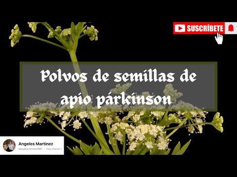 SELERIA para PÁRKINSON, GOTA y REUMA🚶🏻‍♀️