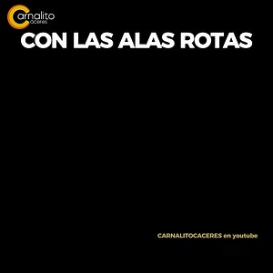 "CON LAS ALAS ROTAS" resumen La historia de los niños abandonados que viven en las calles de la ciudad de El Alto. | CarnalitoCaceres