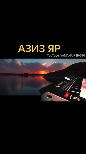 Yamaha PSR-510 Keyboard Performance and Dance