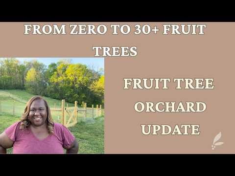 Fruit Tree Orchard Update-From 0 to 30+ Fruit Trees
