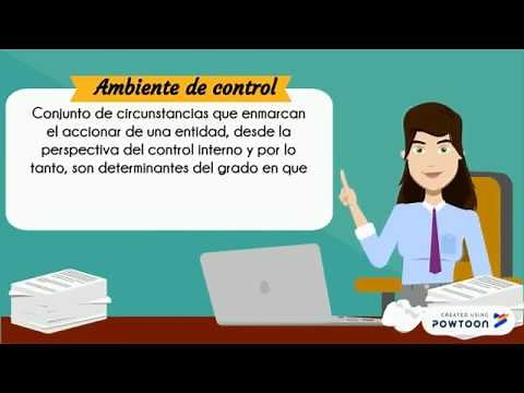 Control interno