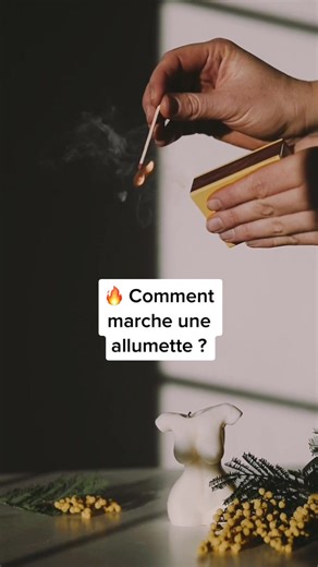 🎶 Allumer le feu… avec une allumette et sans son grattoir, c’est possible !? 🤓 #Epicurieux #tiktokacademie #allumette