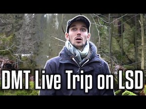 DMT Live Experience on LSD || Trip Report