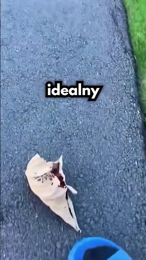 Widziałeś Kiedyś Coś Takiego?!?!🤯