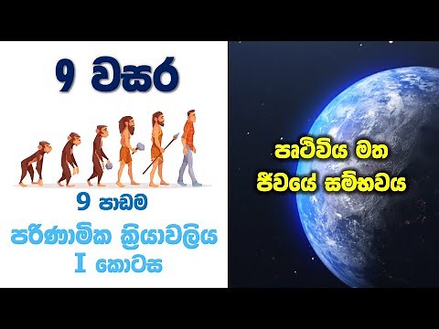 Grade 9 Science in Sinhala | Unit 9 Evolution Part 01 | පරිණාමික ක්‍රියාවලිය 1 කොටස