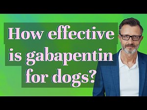 How effective is gabapentin for dogs?