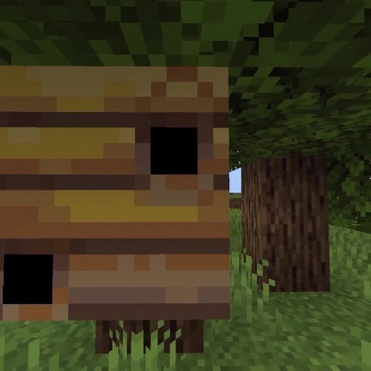 Exploring a Lush Minecraft Forest Environment