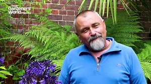 5.5K views · 69 reactions | Join our online Masterclass: Compost and Feeding. During this one-hour session, you'll find out about the different types of compost and plant feed available, how to choose the most suitable growing media for your plants and how best to feed them. This Masterclass takes place on Friday 7 August, at noon, to find out more and book a place click https://bit.ly/MasterclassCompost | BBC Gardeners' World Magazine | Facebook