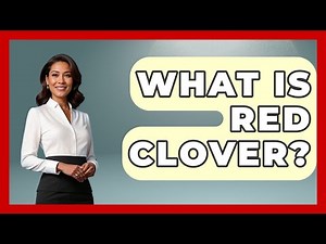 What Is Red Clover? - Women's Health and Harmony