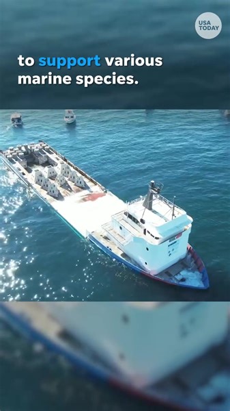 Do you know how artificial reefs are created? Watch this video to learn. | USA TODAY