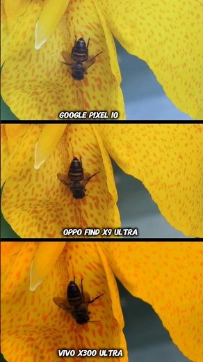 Google Pixel 10 vs Oppo FindX9 ultra Vs Vivo X300 Ultra Photography Test Camera zoom Test #vivophone