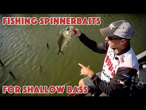 Fishing for Bass in Shallow Cover with Spinnerbaits