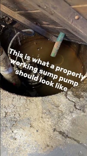 Sump Pump Test During a Home Inspection 💧 | Prevent Basement Flooding”