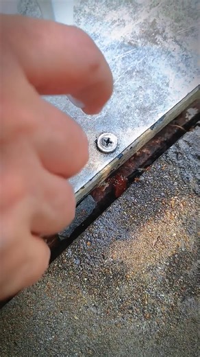 4.4K views · 109 reactions | Bí kíp "say bye" muỗi, côn trùng, kiến...