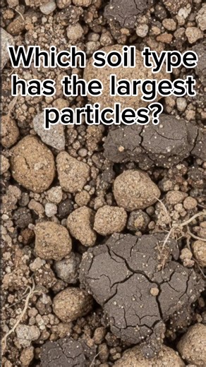 Another Soil Science Question #ALEReview #soilscience