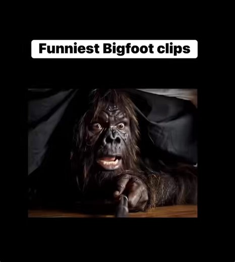 Funny Bigfoot moments.