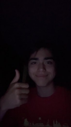 Day 442 of reading the bee movie script