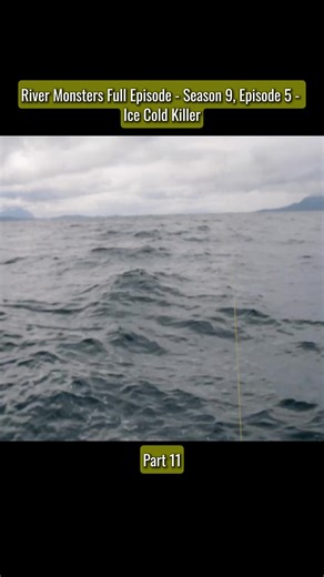 Exploring Greenland Sharks: Unusual Behavior and Depths