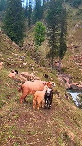 3.8M views · 196K reactions | Beautiful❤ | Nature Beauties | Facebook