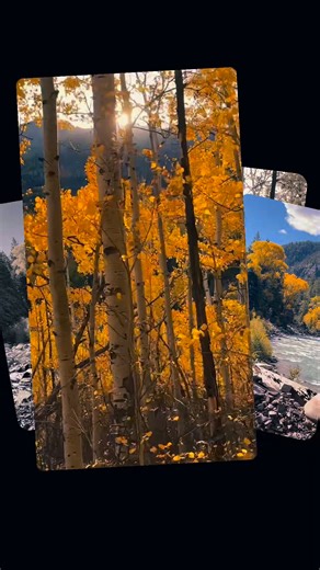 3.7K views · 69 reactions | These mountains are beginning to tuck themselves in for winter. Around every bend lies a postcard-worthy view, as if the landscape is softly whispering.. ‘goodnight, until Spring’s return’. #autumnvibes #autumnleaves #Colorado #roadtrip #fall #sanjuanmountains #ouray #OurayWildOutdoors | Ouray Wild Outdoors | Facebook
