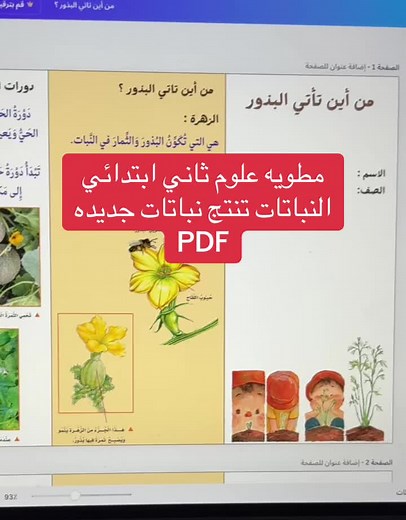 #علوم_ثاني_ابتدائي #مطويه_البذور_ثاني_ابتدائي #مطويه_من_اين_تأتي_البذرر #النباتات_تنتج_نباتات_جديدة