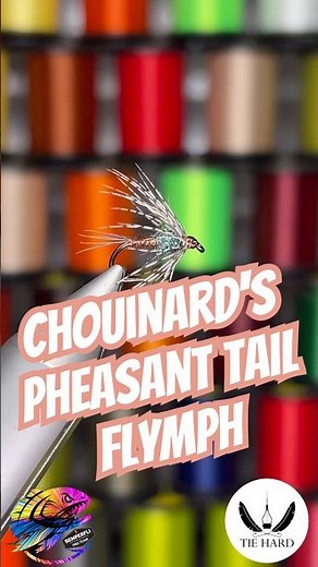 Daily fly nr.313: Chouinard's Pheasant Tail Flymph #flyfishing #flytying #tiehard