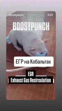 Chevrolet Cobalt EGR Disabled + Traction + Smooth Automatic Transmission Operation 🔥 #cobalt #cob...