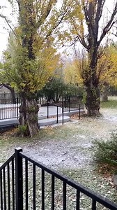 2.3K views · 169 reactions | It’s snowing at Mountain Lakes! ❄️☃️ Do you think we’ll get enough snow for a winter wonderland? | Mountain Lakes Resort: Lytle Creek, CA | Facebook