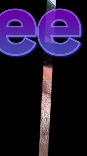 TikTok auto cut. AI at its best#AIForBeginners #tiktokcreatorpilotprogram #aiwithpaul #aitools