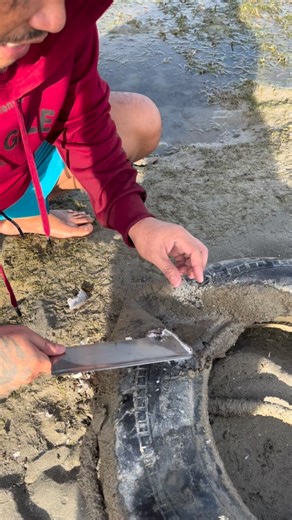 15K views · 151 reactions | Talaba | Clent Allende | Facebook